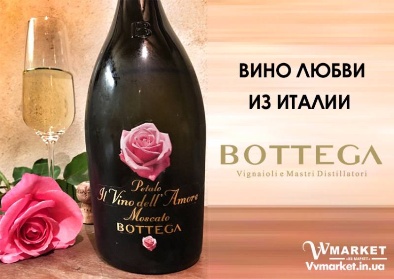 Купить Вино игристое Bottega Petalo Il Vino dell’Amore Moscato белое сладкое, 0.75л с доставкой Киев, Авдеевка, Акимовка, Александрия, Александровка, Александровка, Алупка, Алушта, Алчевск, Амвросиевка, Антрацит, Апостолово, Арбузинка, Армянск, Артемовск, Арциз, Ахтырка, Балаклея, Балта, Бар, Барановка, Барвенково, Барышевка, Бахмач, Бахчисарай, Баштанка, Белая Церковь, Белгород-Днестровский, Беловодск, Белогорск, Белогорье, Белозерка, Белополье, Беляевка, Бердичев, Бердянск, Берегово, Бережаны, Березанка, Березино, Березовка, Берислав, Бершадь, Близнюки, Бобринец, Бобровица, Богодухов, Богуслав, Болград, Болехов, Борзна, Верховина, Веселиново, Веселое, Вижница, Винница, Виноградов, Виньковцы, Вишневое, Владимир-Волынский, Владимирец, Вознесенск, Волноваха, Воловец, Володарка, Володарское, Волочиск, Волчанск, Вольногорск, Гаспра, Геническ, Герца, Глеваха, Глобино, Глухов, Глыбокая, Голая Пристань, Голованевск, Горловка, Горностаевка, Городенка, Городище, Городня, Городок, Горохов, Гоща, Гребенка, Гуляйполе, Гурзуф, Гусятин, Двуречная, Дебальцево, Демидовка, Деражня, Дергачи, Джанкой, Дзержинск, Диканька, Днепродзержинск, Днепр, Днепрорудное, Доброполье, Добрянка, Докучаевск, Долина, Долинская, Доманевка, Донецк, Драбов, Дрогобыч, Дружковка, Дубно, Дубровица, Дунаевцы, Евпатория, Еланец, Емильчино, Енакиево, Жашков, Вышгород, Гадяч, Желтые Воды, Жидачев, Житомир, Жмеринка, Жолква, Залещики, Запорожье, Заречное, Борислав, Борисполь, Боровая, Бородянка, Борщев, Боярка, Бровары, Броды, Брусилов, Брянка, Бузуков, Бурштын, Бурынь, Буск, Бучач, Валки, Варва, Васильевка, Васильков, Васильковка, Великая Белозерка, Великая Новоселка, Верхнеднепровск, Верхов,Заставна, Зачепиловка, Збараж, Зборов, Звенигородка, Згуровка, Здолбунов, Зеньков, Змиев, Знаменка, Золотоноша, Золочев, Ивано-Франковск, Высокополье, Гайворон, Ивановка, Сумы, Тальное, Иванычи, Измаил, Изюм, Изяслав, Илларионово, Ильинцы, Ильичевск, Ирпень, Врадиевка, Гайсин, Иршава, Ичня, Кагарлык, Казанка, Казатин, Каланчак, Калиновка, Калуш, Каменец-Подольский, Каменка, Каменка-Бугская, Каменка-Днепровская, Камень-Каширский, Канев, Карловка, Катеринополь, Каховка, Кегичевка, Кельменцы, Керчь, Киверцы, Киев, Килия, Кировоград, Кировск, Кировское, Кицмань, Кобеляки, Ковель, Кодыма, Козелец, Козельщина, Козова, Козятин, Коломак, Коломыя, Компанеевка, Комсомольск, Конотоп, Константиновка, Кореиз, Корец, Короп, Коростень, Коростышев, Корсунь-Шевченковский, Корюковка, Косов, Костополь, Котельва, Котовск, Краматорск, Красилов, Красноармейск, Красноград, Краснодон, Краснокутск, Красноперекопск, Краснополье, Красные Окны, Красный Лиман, Красный Луч, Кременчуг, Кривой Рог, Куйбышево, Кулиничи, Купянск, Ладыжин, Лисичанск, Лозовая, Лопатин, Лохвица, Лубны, Луганск, Луцк, Львов, Люботин, Макеевка, Мангуш, Марганец, Мариуполь, Марьинка, Мелитополь, Мена, Мерефа, Миргород, Михайловка, Млинов, Могилев-Подольский, Молодецкое, Монастыриска, Монастырище, Моршин, Мостиска, Мукачево, Мурованые Куриловцы, Народичи, Недригайлов, Нежин, Немиров, Нетишин, Нижние Серогозы, Николаев, Никополь, Новая Каховка, Новая Одесса, Новая Ушица, Новгород-Северский, Новгородка, Новоазовск, Новоайдар, Новоархангельск, Нововолынск, Нововоронцовка, Новоград-Волынский, Новоднестровск, Новомиргород, Новомосковск, Новопсков, Новоселица, Новотроицкое, Новоукраинка, Новояворовск, Новые Санжары, Новый Буг, Носовка, Обухов, Овидиополь, Овруч, Одесса, Онуфриевка, Оратов, Орджоникидзе, Орехов, Оржица, Умань, Хмельницкий, Острог,Первомайск, Первомайский, Первомайское, Перевальск, Перемышляны, Перечин, Переяслав-Хмельницкий, Першотравенск, Першотравенск, Харичанка, Цюрупинск, Петрово, Петропавловка, Печенеги, Пирятин, Погребище, Подволочиск, Подгайцы, Чутово, Шаргород, Полесское, Фрунзовка, Харцызск, Пологи, Полонное, Полтава, Попасная, Попельня, Приазовское, Прилуки, Приморск, Феодосия, Харьков, Пустомыты, Путивль, Устиновка, Хмельник, Путила, Фастов, Херсон, Радомышль, Радывылив, Счастье, Талалаевка, Раздельная, Раздольное, Ракитное, Хуст, Олешки, Чаплинка, Ратнов, Рахов, Репки, Решетиловка, Ровеньки, Ровно, Рогатин, Рожище, Рожнятов, Розовка, Романов, Ромны, Шумск, Щорс, Южный, Яворов, Рубежное, Ружин, Саврань, Садовое, Ульяновка, Хорол, Пятихатки, Радехов, Хотин, Саки, Самбор, Сарата, Сарны, Сахновщина, Свалява, Сватово, Свердловск, Энергодар, Южноукраинск, Светловодск, Севастополь, Северодонецк, Селидово, Семеновка, Семеновка, Середина-Буда, Симферополь, Синельниково, Скадовск, Сквира, Сколе, Славута, Славутич, Славяносербск, Славянск, Смела, Снежное, Снигиревка, Снятин, Сокаль, Сокиряны, Соленое, Сосница, Сосновка, Софиевка, Ставище, Старая Выжевка, Старая Синява, Старобельск, Старобешево, Старое село, Староконстантинов, Старый Самбор, Стаханов, Сторожинец, Стрый, Судак, Тараща, Тарутино, Татарбунары, Тельманово, Теофиполь, Теплик, Теребовля, Терновка, Тернополь, Тетиев, Тлумач, Токмак, Томаковка, Вольнянск, Галич, Томашполь, Торез, Троицкое, Тростянец, Трускавец, Тульчин, Турийск, Турка,Тячев, Ужгород, Украинка, Христиновка, Чемеровцы, Очаков, Павлоград, Червоноармейск, Черноморск, Червоноград, Черкассы, Черневцы, Чернигов, Черниговка, Черновцы, Черногородка, Черняхов, Чортков, Чугуев, Шахтерск, Шацк, Шепетовка, Широкое, Ширяево, Шишаки, Шостка, Шпола, Яготин, Ялта, Ямполь, Яремча, Ярмолинцы, Ясиноватая, вся Украина