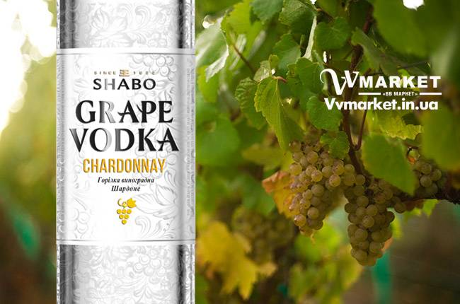 Купить Водка виноградная Шабо Premium Chardonnay (Shabo) 0.375л с доставкой Киев, Авдеевка, Акимовка, Александрия,   Александровка, Бережаны, Березанка, Березино, Березовка, Берислав, Бершадь, Близнюки, Бобринец, Бобровица, Богодухов,   Богуслав, Болград, Болехов, Коломыя, Компанеевка, Комсомольск, Конотоп, Константиновка, Кореиз, Корец, Короп, Коростень, Коростышев, Корсунь-Шевченковский, Корюковка, Косов, Костополь, Котельва, Котовск, Краматорск, Красилов, Красноармейск, Красноград,   Краснодон, Александровка, Алупка, Алушта, Алчевск, Амвросиевка, Антрацит, Апостолово, Арбузинка, Армянск,  Артемовск, Дубно, Дубровица, Дунаевцы, Евпатория, Еланец,   Емильчино, Енакиево, Жашков, Желтые Воды, Жидачев,  Белая   Церковь, Белгород-Днестровский, Беловодск, Белогорск, Белогорье, Белозерка, Белополье, Беляевка, Бердичев, Бердянск,   Берегово,  Торез, Троицкое, Тростянец, Трускавец, Тульчин, Турийск, Турка,Тячев, Ужгород, Украинка,   Ульяновка, Умань, Устиновка, Фастов, Феодосия, Фрунзовка, Харцызск, Харьков, Херсон, Хмельник, Хмельницкий, Хорол,   Хотин, Христиновка, Хуст, Харичанка,  Борзна, Борислав, Борисполь, Боровая, Бородянка, Борщев, Боярка, Бровары, Броды, Брусилов,   Брянка, Бузуков, Бурштын, Бурынь, Буск, Бучач, Валки, Варва, Васильевка, Васильков, Васильковка, Великая Белозерка,   Великая Новоселка, Верхнеднепровск, Верхов, Верховина, Веселиново, Веселое, Вижница, Винница, Виноградов, Виньковцы,   Вишневое, Житомир, Жмеринка, Жолква, Арциз, Ахтырка, Балаклея, Балта, Бар, Барановка, Барвенково, Барышевка, Бахмач, Бахчисарай, Баштанка, Владимир-Волынский, Владимирец, Вознесенск, Волноваха, Воловец, Володарка, Володарское, Волочиск, Волчанск,  Киверцы, Килия, Кировоград, Кировск, Кировское, Кицмань, Кобеляки, Ковель, Кодыма, Козелец, Козельщина, Козова, Козятин, Коломак, Краснокутск, Красноперекопск, Краснополье, Красные Окны, Красный Лиман, Красный Луч, Кременчуг, Кривой Рог,   Куйбышево, Днепр, Днепрорудное, Доброполье, Добрянка, Докучаевск,   Долина, Долинская, Доманевка, Донецк, Драбов, Дрогобыч, Дружковка,  Залещики, Запорожье,Монастыриска, Монастырище, Моршин, Мостиска, Мукачево, Мурованые Куриловцы, Народичи,   Недригайлов, Нежин, Немиров, Нетишин, Нижние Серогозы, Николаев, Никополь, Новая Каховка, Новая Одесса, Новая Ушица, Згуровка, Здолбунов, Зеньков, Змиев, Знаменка, Золотоноша, Золочев, Ивано-Франковск, Ивановка, Иванычи, Измаил, Изюм, Изяслав, Илларионово, Ильинцы, Ильичевск, Ирпень, Иршава, Ичня, Кагарлык, Казанка, Казатин, Каланчак, Калиновка, Калуш,  Вольногорск, Вольнянск, Врадиевка, Высокополье, Вышгород, Гадяч, Гайворон, Гайсин, Галич, Гаспра, Геническ, Герца,   Глеваха, Глобино, Глухов, Глыбокая, Голая Пристань, Голованевск, Горловка, Горностаевка, Городенка, Городище, Городня,   Городок, Горохов, Гоща, Гребенка, Гуляйполе, Гурзуф, Гусятин, Двуречная, Дебальцево, Демидовка, Деражня, Новоукраинка,   Новояворовск, Новые Санжары, Новый Буг, Носовка, Обухов, Овидиополь, Овруч, Одесса, Днепродзержинск,  Заречное,   Заставна, Дергачи, Джанкой,  Кулиничи, Купянск, Ладыжин, Лисичанск, Лозовая, Лопатин, Лохвица, Лубны, Луганск, Луцк, Львов, Люботин, Макеевка, Мангуш, Марганец, Мариуполь, Марьинка, Мелитополь, Мена, Мерефа, Миргород, Михайловка, Млинов, Могилев-Подольский, Молодецкое, Дзержинск, Диканька, Каменец-Подольский, Каменка, Каменка-Бугская, Каменка-Днепровская, Камень-Каширский, Канев, Карловка, Катеринополь, Новгород-Северский, Новгородка, Новоазовск, Новоайдар, Новоархангельск,    Ракитное, Ратнов, Рахов, Репки, Решетиловка, Ровеньки, Ровно, Рогатин, Рожище, Рожнятов, Розовка, Романов, Ромны,   Рубежное, Ружин, Саврань, Садовое, Саки, Самбор, Сарата, Сарны, Сахновщина, Свалява, Сватово, Свердловск, Светловодск,   Севастополь, Северодонецк, Селидово, Семеновка, Семеновка, Середина-Буда, Симферополь, Синельниково, Скадовск, Новоселица, Новотроицкое,  Зачепиловка, Збараж, Зборов, Звенигородка, Каховка, Кегичевка, Кельменцы, Керчь,Онуфриевка, Оратов,   Орджоникидзе, Орехов, Оржица, Острог, Очаков, Павлоград, Первомайск, Первомайский, Первомайское, Перевальск,   Перемышляны, Перечин, Переяслав-Хмельницкий, Першотравенск, Першотравенск, Петрово, Петропавловка, Печенеги,   Пирятин, Погребище, Подволочиск, Подгайцы, Полесское, Пологи, Полонное, Полтава, Попасная, Попельня, Приазовское,   Прилуки, Приморск, Пустомыты, Путивль, Путила, Пятихатки, Радехов, Радомышль, Радывылив, Разде   Сквира, Сколе, Славута, Славутич, Славяносербск, Славянск, Нововолынск, Нововоронцовка, Новоград-  Волынский, Новоднестровск, Новомиргород, Новомосковск, Новопсков, льная, Раздольное, Смела, Снежное, Снигиревка, Снятин, Сокаль, Сокиряны, Соленое, Сосница, Сосновка, Софиевка, Ставище, Старая Выжевка, Старая Синява, Старобельск, Старобешево, Старое село, Староконстантинов, Старый Самбор, Стаханов, Сторожинец, Стрый, Судак, Сумы, Счастье, Талалаевка, Тальное, Тараща, Тарутино, Татарбунары, Тельманово, Теофиполь, Теплик, Теребовля, Терновка, Тернополь, Тетиев, Тлумач, Токмак,   Томаковка, Томашполь, Цюрупинск, Олешки, Чаплинка, Чемеровцы, Червоноармейск, Черноморск,   Червоноград, Черкассы, Черневцы, Чернигов, Черниговка, Черновцы, Черногородка, Черняхов, Чортков, Чугуев, Чутово, Шаргород, Шахтерск, Шацк, Шепетовка, Широкое, Ширяево, Шишаки, Шостка, Шпола, Шумск, Щорс, Энергодар,   Южноукраинск, Южный, Яворов, Яготин, Ялта, Ямполь, Яремча, Ярмолинцы, Ясиноватая, Украина
