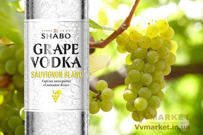 Купить Водка виноградная Шабо Premium Sauvignon Blanc (Shabo) 0.375л с доставкой Киев, Авдеевка, Акимовка, Александрия,   Александровка, Бережаны, Березанка, Березино, Березовка, Берислав, Бершадь, Близнюки, Бобринец, Бобровица, Богодухов,   Богуслав, Болград, Болехов, Коломыя, Компанеевка, Комсомольск, Конотоп, Константиновка, Кореиз, Корец, Короп, Коростень, Коростышев, Корсунь-Шевченковский, Корюковка, Косов, Костополь, Котельва, Котовск, Краматорск, Красилов, Красноармейск, Красноград,   Краснодон, Александровка, Алупка, Алушта, Алчевск, Амвросиевка, Антрацит, Апостолово, Арбузинка, Армянск,  Артемовск, Дубно, Дубровица, Дунаевцы, Евпатория, Еланец,   Емильчино, Енакиево, Жашков, Желтые Воды, Жидачев,  Белая   Церковь, Белгород-Днестровский, Беловодск, Белогорск, Белогорье, Белозерка, Белополье, Беляевка, Бердичев, Бердянск,   Берегово,  Торез, Троицкое, Тростянец, Трускавец, Тульчин, Турийск, Турка,Тячев, Ужгород, Украинка,   Ульяновка, Умань, Устиновка, Фастов, Феодосия, Фрунзовка, Харцызск, Харьков, Херсон, Хмельник, Хмельницкий, Хорол,   Хотин, Христиновка, Хуст, Харичанка,  Борзна, Борислав, Борисполь, Боровая, Бородянка, Борщев, Боярка, Бровары, Броды, Брусилов,   Брянка, Бузуков, Бурштын, Бурынь, Буск, Бучач, Валки, Варва, Васильевка, Васильков, Васильковка, Великая Белозерка,   Великая Новоселка, Верхнеднепровск, Верхов, Верховина, Веселиново, Веселое, Вижница, Винница, Виноградов, Виньковцы,   Вишневое, Житомир, Жмеринка, Жолква, Арциз, Ахтырка, Балаклея, Балта, Бар, Барановка, Барвенково, Барышевка, Бахмач, Бахчисарай, Баштанка, Владимир-Волынский, Владимирец, Вознесенск, Волноваха, Воловец, Володарка, Володарское, Волочиск, Волчанск,  Киверцы, Килия, Кировоград, Кировск, Кировское, Кицмань, Кобеляки, Ковель, Кодыма, Козелец, Козельщина, Козова, Козятин, Коломак, Краснокутск, Красноперекопск, Краснополье, Красные Окны, Красный Лиман, Красный Луч, Кременчуг, Кривой Рог,   Куйбышево, Днепр, Днепрорудное, Доброполье, Добрянка, Докучаевск,   Долина, Долинская, Доманевка, Донецк, Драбов, Дрогобыч, Дружковка,  Залещики, Запорожье,Монастыриска, Монастырище, Моршин, Мостиска, Мукачево, Мурованые Куриловцы, Народичи,   Недригайлов, Нежин, Немиров, Нетишин, Нижние Серогозы, Николаев, Никополь, Новая Каховка, Новая Одесса, Новая Ушица, Згуровка, Здолбунов, Зеньков, Змиев, Знаменка, Золотоноша, Золочев, Ивано-Франковск, Ивановка, Иванычи, Измаил, Изюм, Изяслав, Илларионово, Ильинцы, Ильичевск, Ирпень, Иршава, Ичня, Кагарлык, Казанка, Казатин, Каланчак, Калиновка, Калуш,  Вольногорск, Вольнянск, Врадиевка, Высокополье, Вышгород, Гадяч, Гайворон, Гайсин, Галич, Гаспра, Геническ, Герца,   Глеваха, Глобино, Глухов, Глыбокая, Голая Пристань, Голованевск, Горловка, Горностаевка, Городенка, Городище, Городня,   Городок, Горохов, Гоща, Гребенка, Гуляйполе, Гурзуф, Гусятин, Двуречная, Дебальцево, Демидовка, Деражня, Новоукраинка,   Новояворовск, Новые Санжары, Новый Буг, Носовка, Обухов, Овидиополь, Овруч, Одесса, Днепродзержинск,  Заречное,   Заставна, Дергачи, Джанкой,  Кулиничи, Купянск, Ладыжин, Лисичанск, Лозовая, Лопатин, Лохвица, Лубны, Луганск, Луцк, Львов, Люботин, Макеевка, Мангуш, Марганец, Мариуполь, Марьинка, Мелитополь, Мена, Мерефа, Миргород, Михайловка, Млинов, Могилев-Подольский, Молодецкое, Дзержинск, Диканька, Каменец-Подольский, Каменка, Каменка-Бугская, Каменка-Днепровская, Камень-Каширский, Канев, Карловка, Катеринополь, Новгород-Северский, Новгородка, Новоазовск, Новоайдар, Новоархангельск,    Ракитное, Ратнов, Рахов, Репки, Решетиловка, Ровеньки, Ровно, Рогатин, Рожище, Рожнятов, Розовка, Романов, Ромны,   Рубежное, Ружин, Саврань, Садовое, Саки, Самбор, Сарата, Сарны, Сахновщина, Свалява, Сватово, Свердловск, Светловодск,   Севастополь, Северодонецк, Селидово, Семеновка, Семеновка, Середина-Буда, Симферополь, Синельниково, Скадовск, Новоселица, Новотроицкое,  Зачепиловка, Збараж, Зборов, Звенигородка, Каховка, Кегичевка, Кельменцы, Керчь,Онуфриевка, Оратов,   Орджоникидзе, Орехов, Оржица, Острог, Очаков, Павлоград, Первомайск, Первомайский, Первомайское, Перевальск,   Перемышляны, Перечин, Переяслав-Хмельницкий, Першотравенск, Першотравенск, Петрово, Петропавловка, Печенеги,   Пирятин, Погребище, Подволочиск, Подгайцы, Полесское, Пологи, Полонное, Полтава, Попасная, Попельня, Приазовское,   Прилуки, Приморск, Пустомыты, Путивль, Путила, Пятихатки, Радехов, Радомышль, Радывылив, Разде   Сквира, Сколе, Славута, Славутич, Славяносербск, Славянск, Нововолынск, Нововоронцовка, Новоград-  Волынский, Новоднестровск, Новомиргород, Новомосковск, Новопсков, льная, Раздольное, Смела, Снежное, Снигиревка, Снятин, Сокаль, Сокиряны, Соленое, Сосница, Сосновка, Софиевка, Ставище, Старая Выжевка, Старая Синява, Старобельск, Старобешево, Старое село, Староконстантинов, Старый Самбор, Стаханов, Сторожинец, Стрый, Судак, Сумы, Счастье, Талалаевка, Тальное, Тараща, Тарутино, Татарбунары, Тельманово, Теофиполь, Теплик, Теребовля, Терновка, Тернополь, Тетиев, Тлумач, Токмак,   Томаковка, Томашполь, Цюрупинск, Олешки, Чаплинка, Чемеровцы, Червоноармейск, Черноморск,   Червоноград, Черкассы, Черневцы, Чернигов, Черниговка, Черновцы, Черногородка, Черняхов, Чортков, Чугуев, Чутово, Шаргород, Шахтерск, Шацк, Шепетовка, Широкое, Ширяево, Шишаки, Шостка, Шпола, Шумск, Щорс, Энергодар,   Южноукраинск, Южный, Яворов, Яготин, Ялта, Ямполь, Яремча, Ярмолинцы, Ясиноватая, Украина