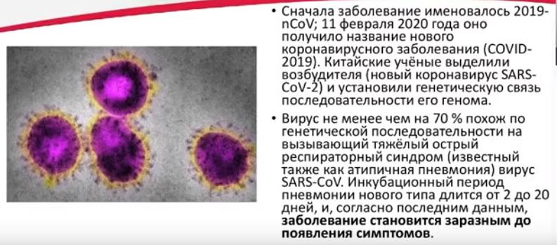 Существует несколько разновидностей коронавируса, вызывающего заболевания у человека.