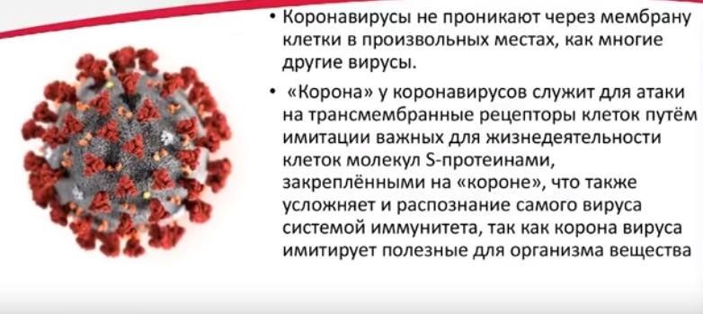 вирус 2019-nCov вызывает развитие респираторного дистресс-синдрома