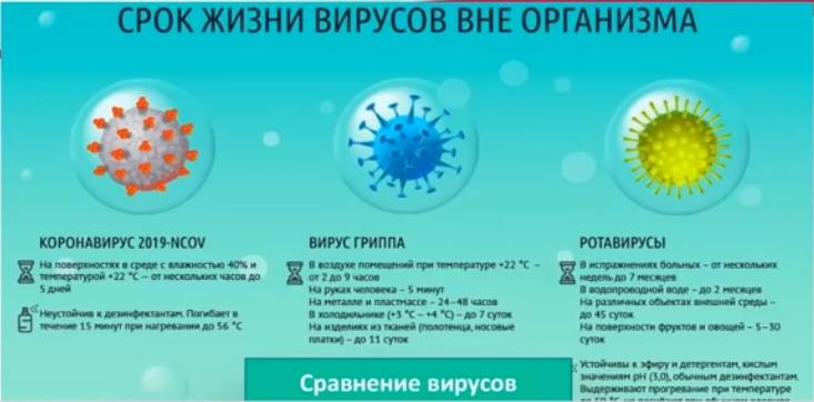 Цинк убивает вирусы. Программа FitLine, Комплекс антиоксидантов Цельшутц (FitLine Zellschultz Antioxy), Оптимальный Cет, Комплекс для восстановления организма, Ресторейт, Комплекс веществ для выработки энергии Активайз Оксиплюс (FitLine Activize Oxyplus), Витаминный комплекс для здоровых суставов и хорошей подвижности Геленкфит для суставов (FitLine Gelenk-Fit), Высокоэффективный, безопасный комплекс для детоксикации организма Д Дринк (FitLine D-Drink), Уникальнавя смесь коллагеновых пептидов, ценных растительных экстрактов, а также витаминов и минералов - Напиток красоты и здоровья FitLine Beauty, Детский коктейль джуниор (FitLine Power Cocktail Junior), Комплекс жизненно важных и незаменимых минокислот Амино (FitLine Proshape Amino), Живые пробиотические бактерии Закваска Йогурт (FitLine Pro·B·4 Yoghurt), Комплексная оздоровительная программа FitLine Программа питания жизненный тонус FitLine