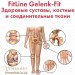 Набор Геленкфит и Активный гель (Set FitLine Gelenk-Fit and Active-Gel) с доставкой вся Украина